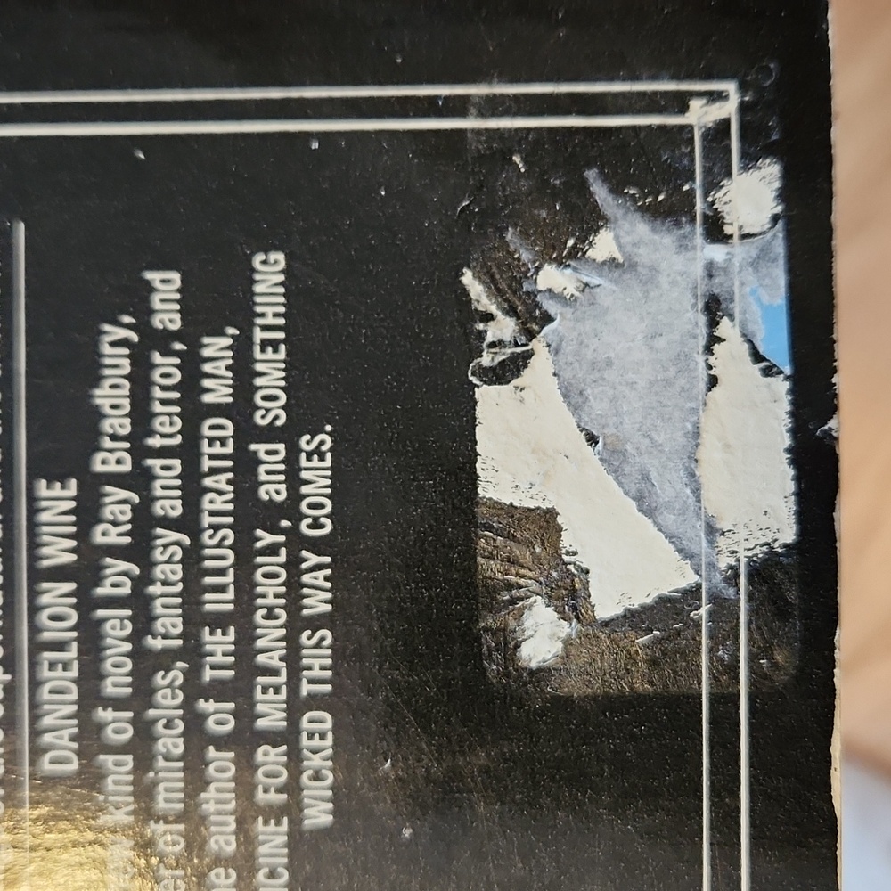 Dandelion Wine by Ray Bradbury Paperback - Picture 4 of 9